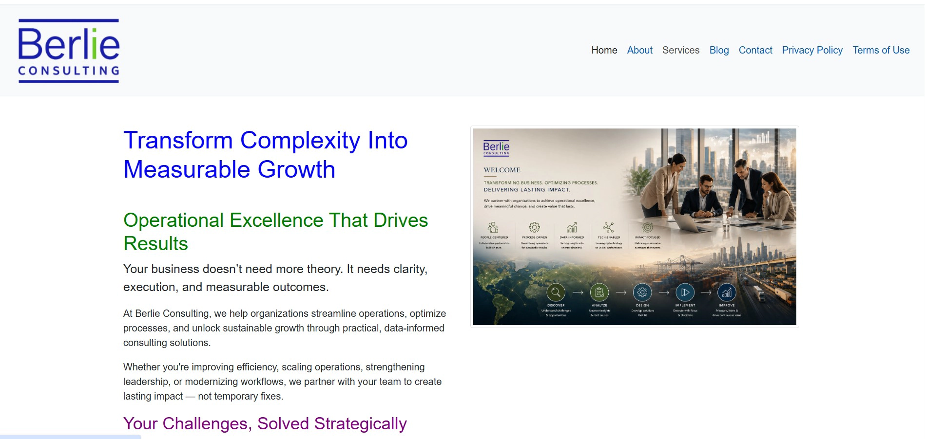 Berlie Consulting Website